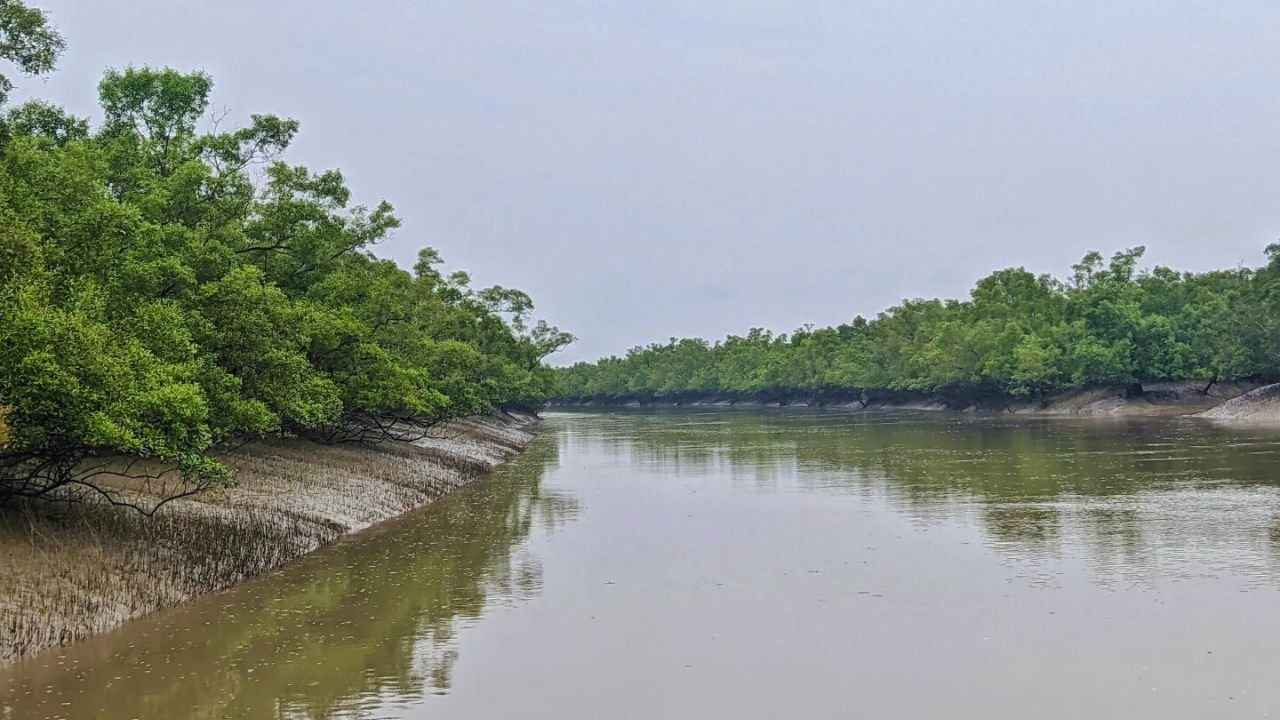 Sundarbans